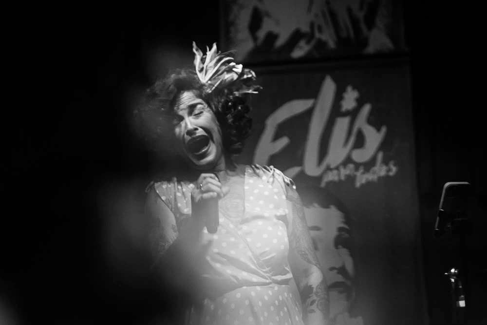 Celebração musical e encerramento vibrante do show Elis para Todos